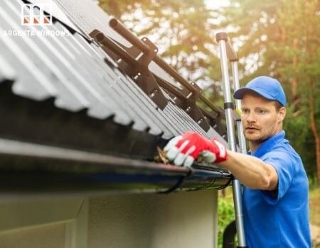 A Gutter Cleaning Professional