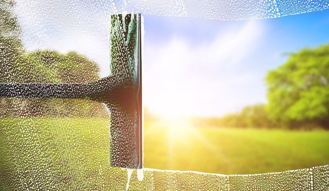 Why You Should Always Hire a Professional Window Cleaner